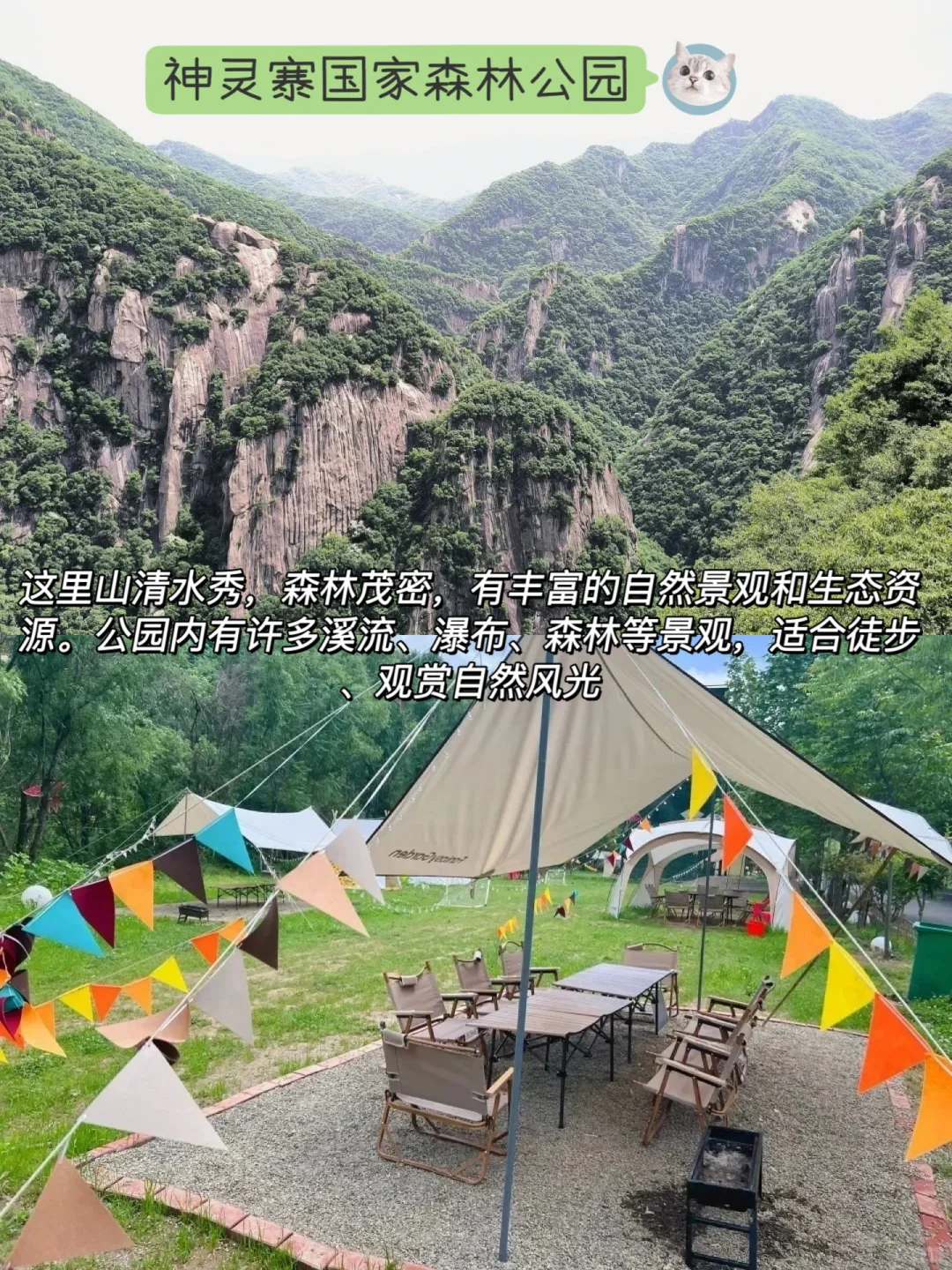 想去洛阳玩又担心人太多？这几个景区适合你