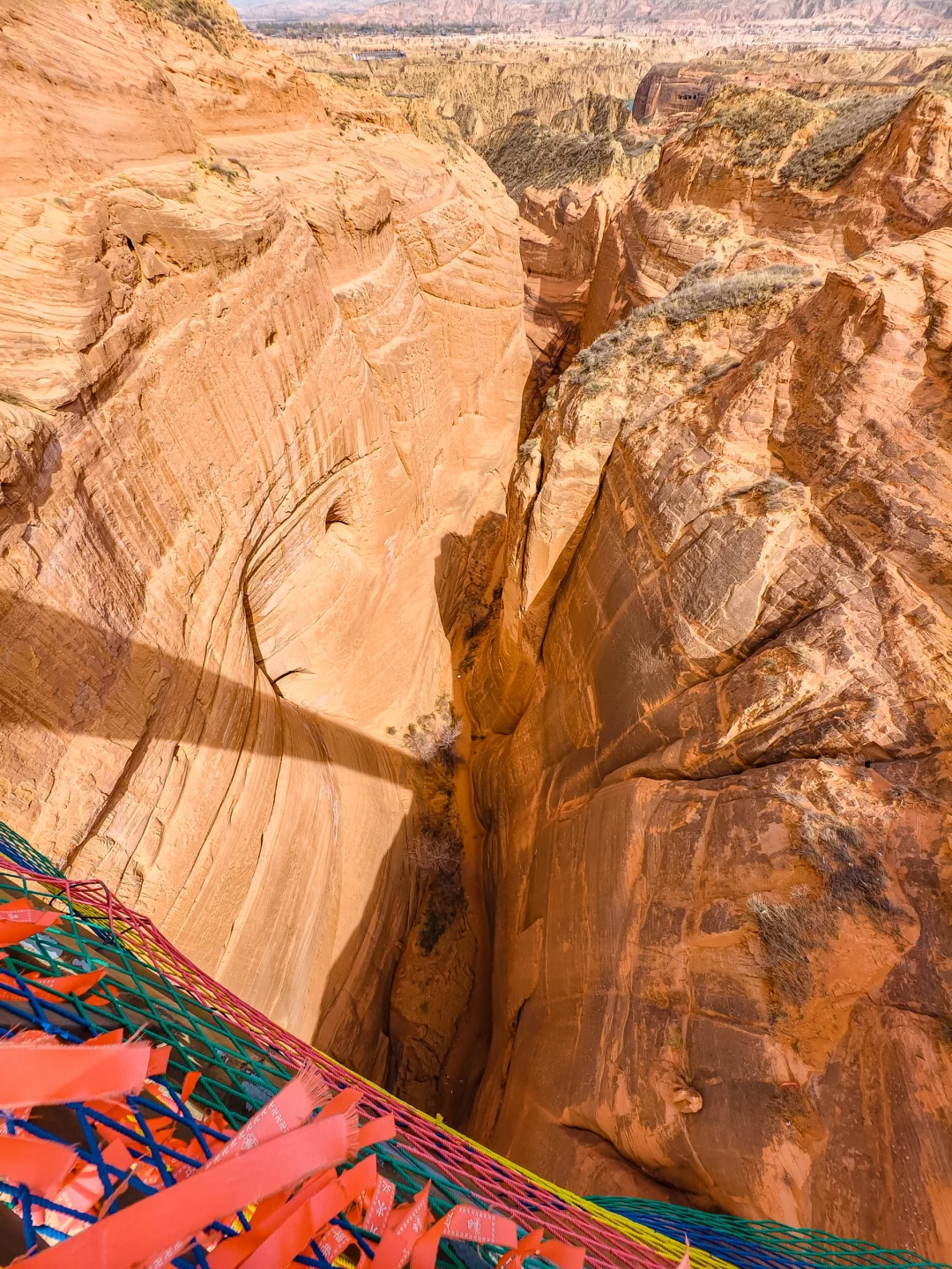 真的没有在美国，被眼前的一幕震撼到了...