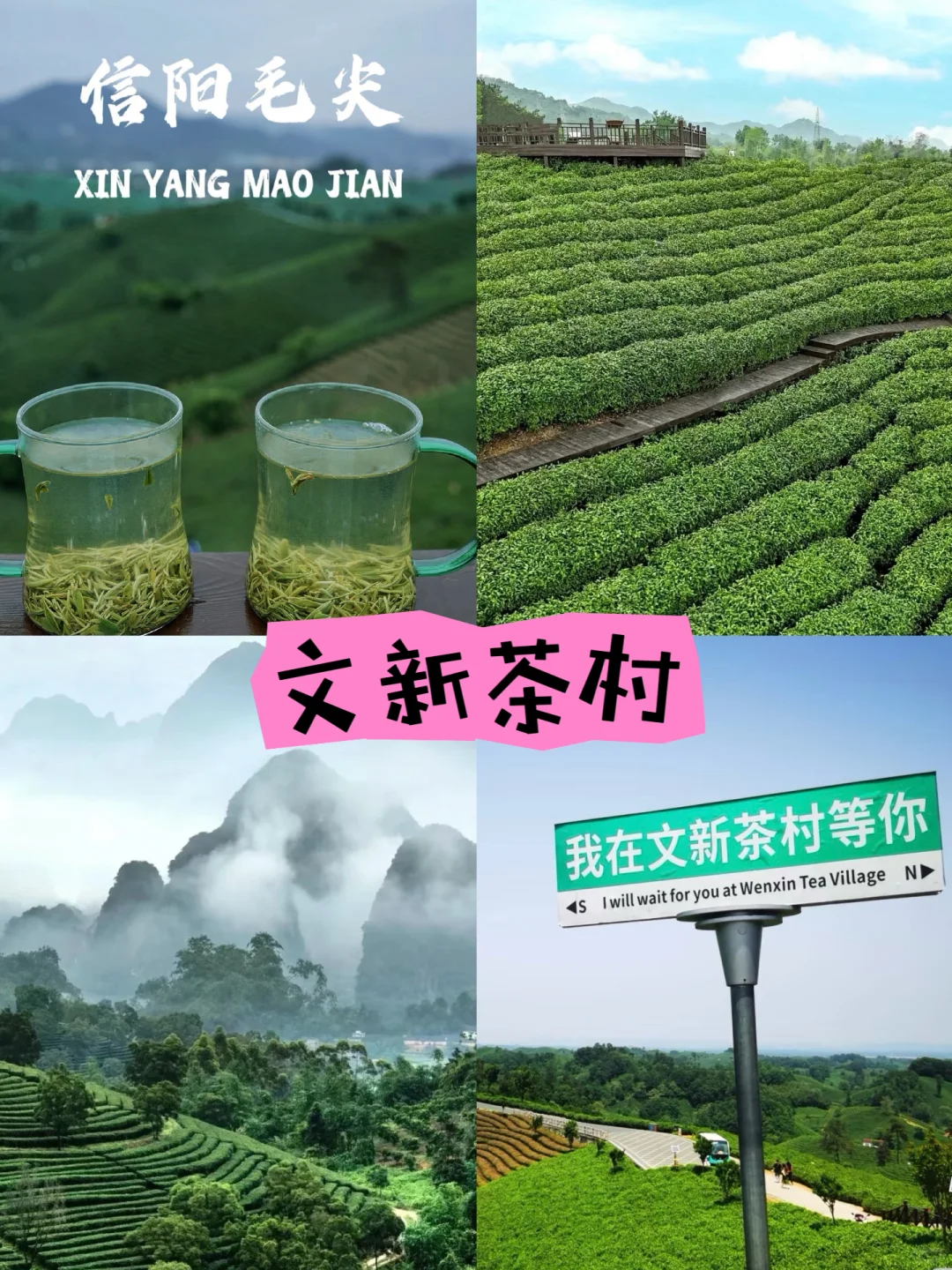 【信阳必去9大景点】2天打卡九大景点