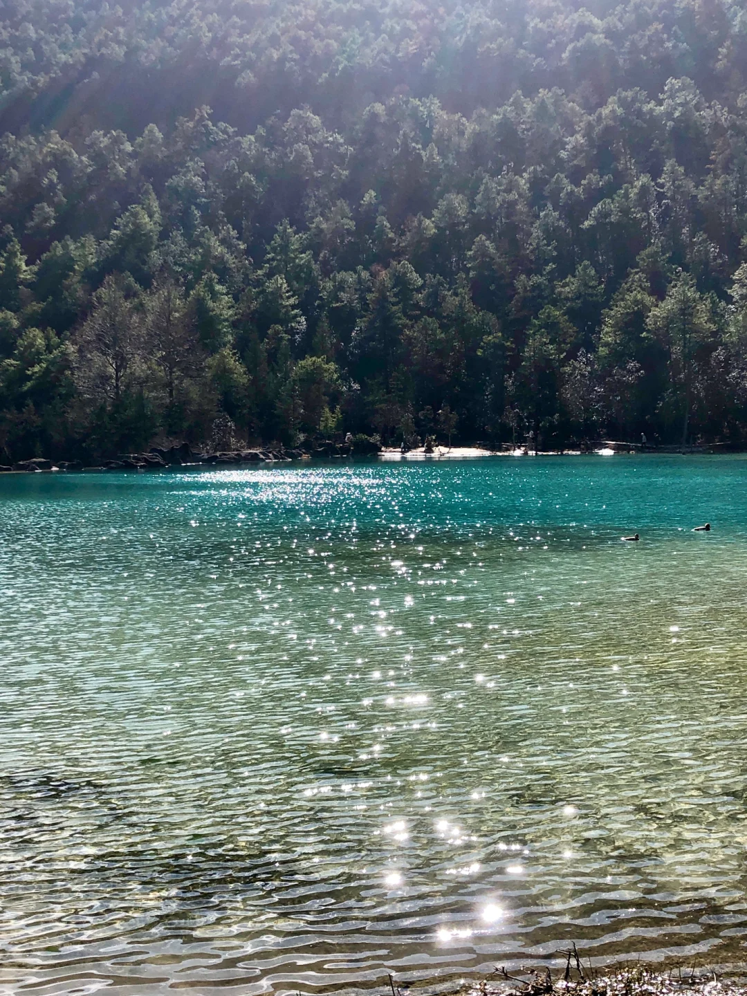 云南旅居半个月后发现6天5晚游云南1500真的