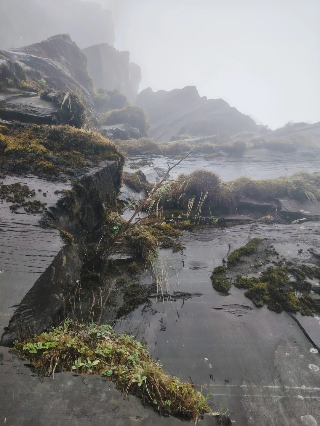 梵净山雨天攻略 遗憾与美景