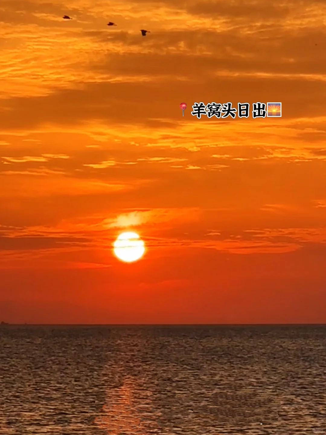 连云港连岛的必打卡宝藏机位➕连岛旅游攻略！