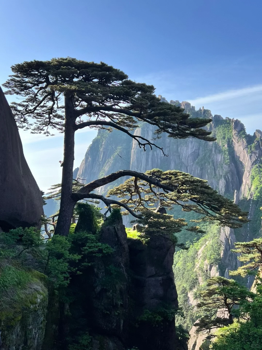 来了！确实值！黄山真的值得！