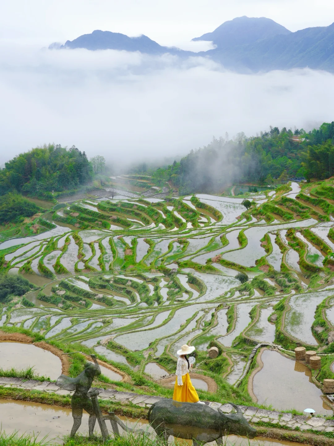 我好怕它火‼️江浙沪被严重低估的宝藏小城