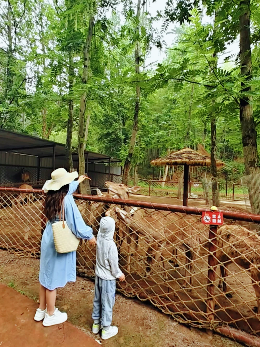 湖北罕见白沙滩🏝所有人都以为我在长滩岛