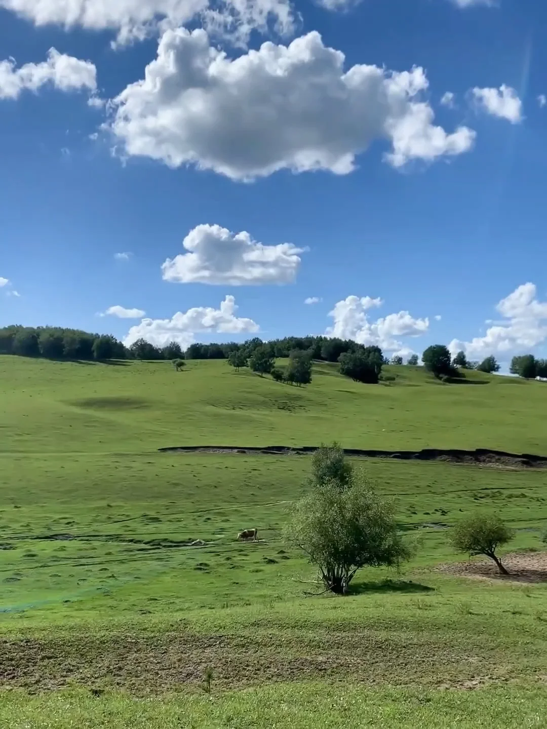 在小红书上跟风成功的一次 隐藏的宝藏城市