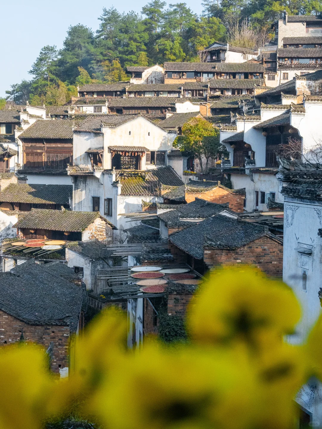 美哭了😭不愧是《国家地理》推荐的春日小城