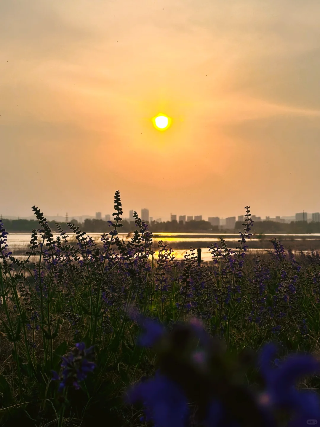 后来我逢人便说“邯郸小洱海”到底有多美‼️