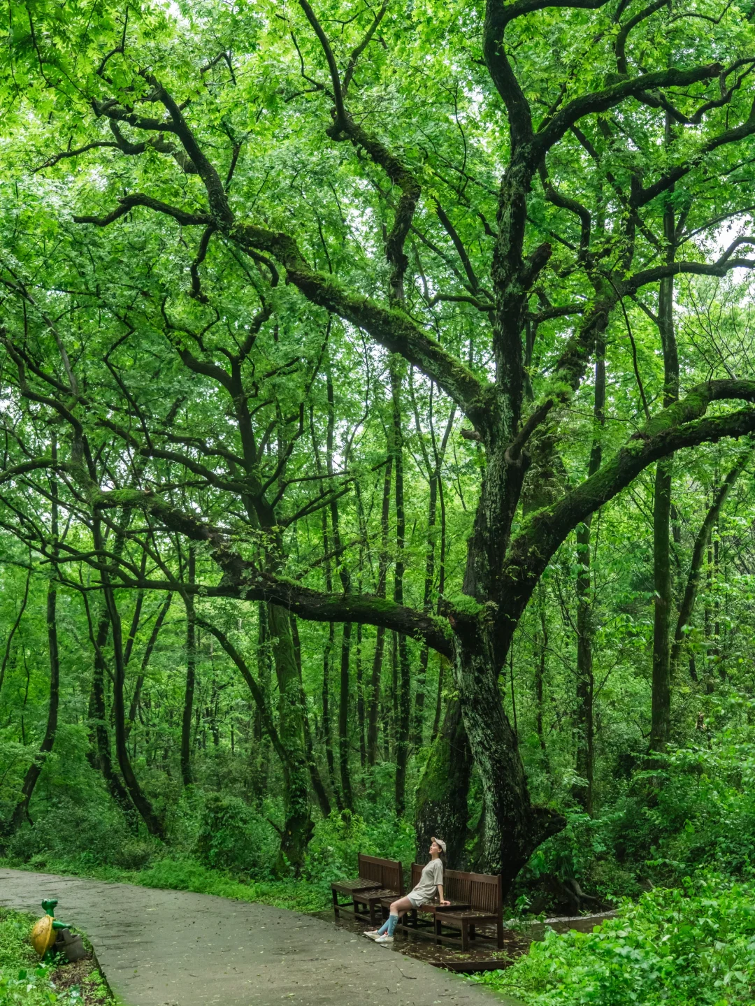 江西你藏的太深了‼️这么美的地方都不宣传⁉️