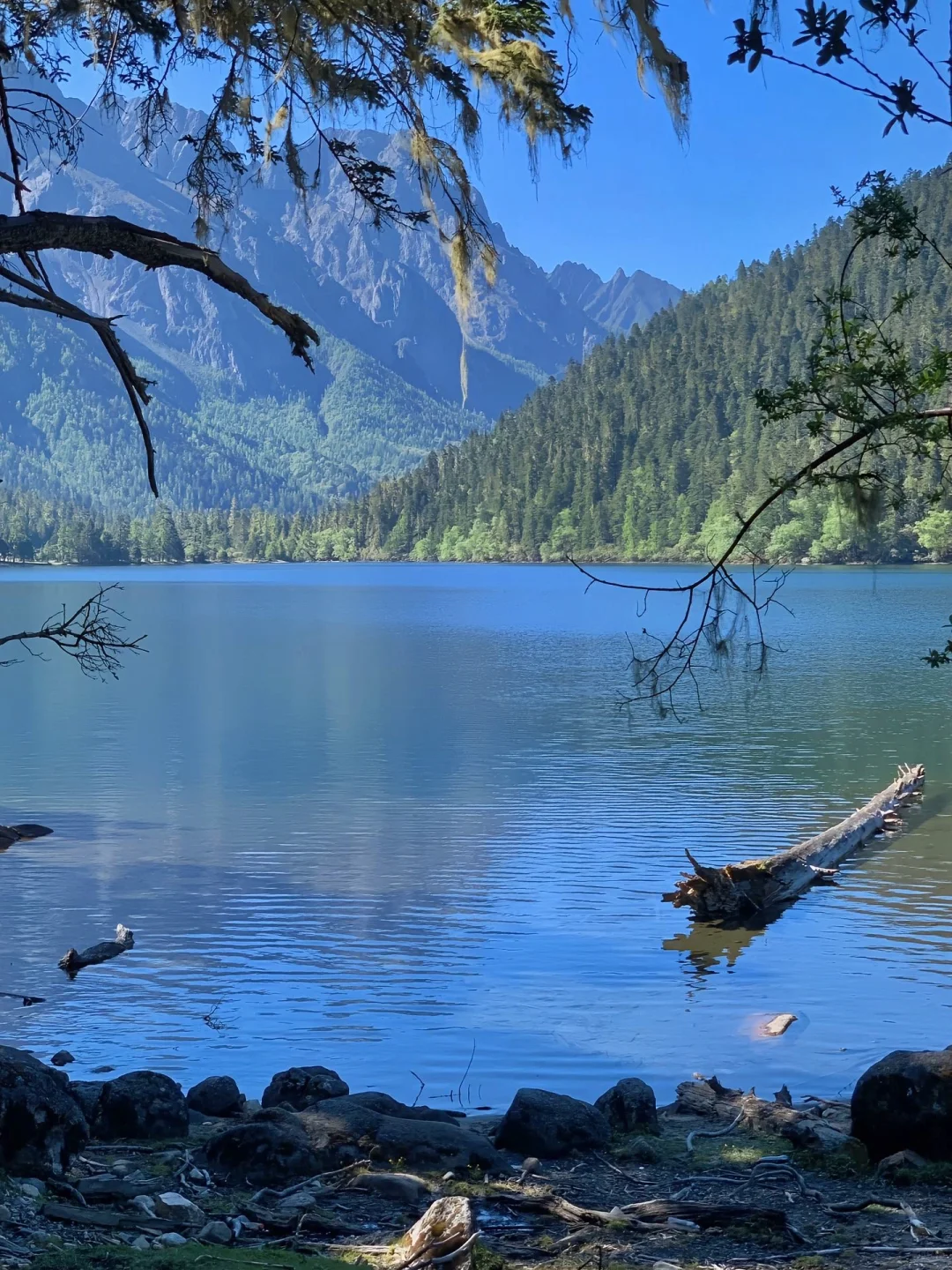 本以为姑弄村够美了！直到我去到了这里……