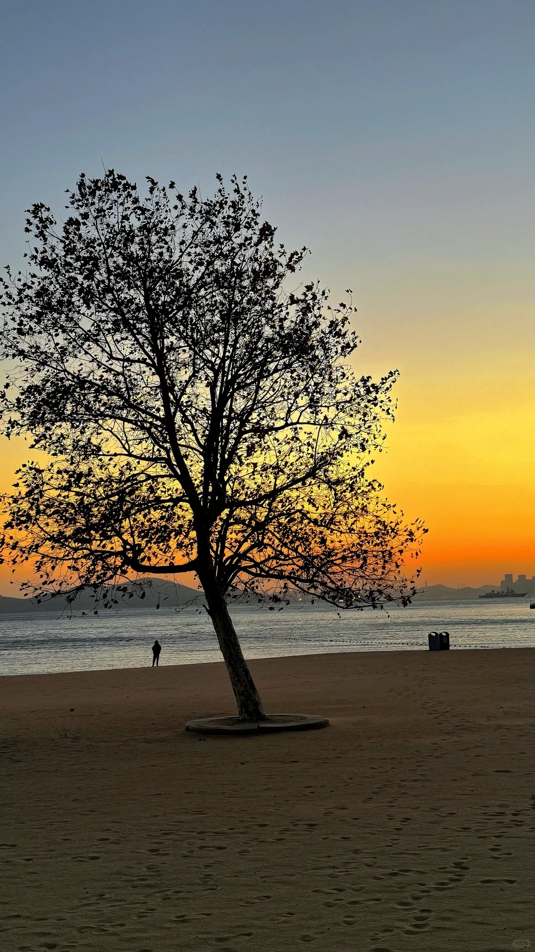 为了这18张照片！！去了趟淡季的青岛📍附机位