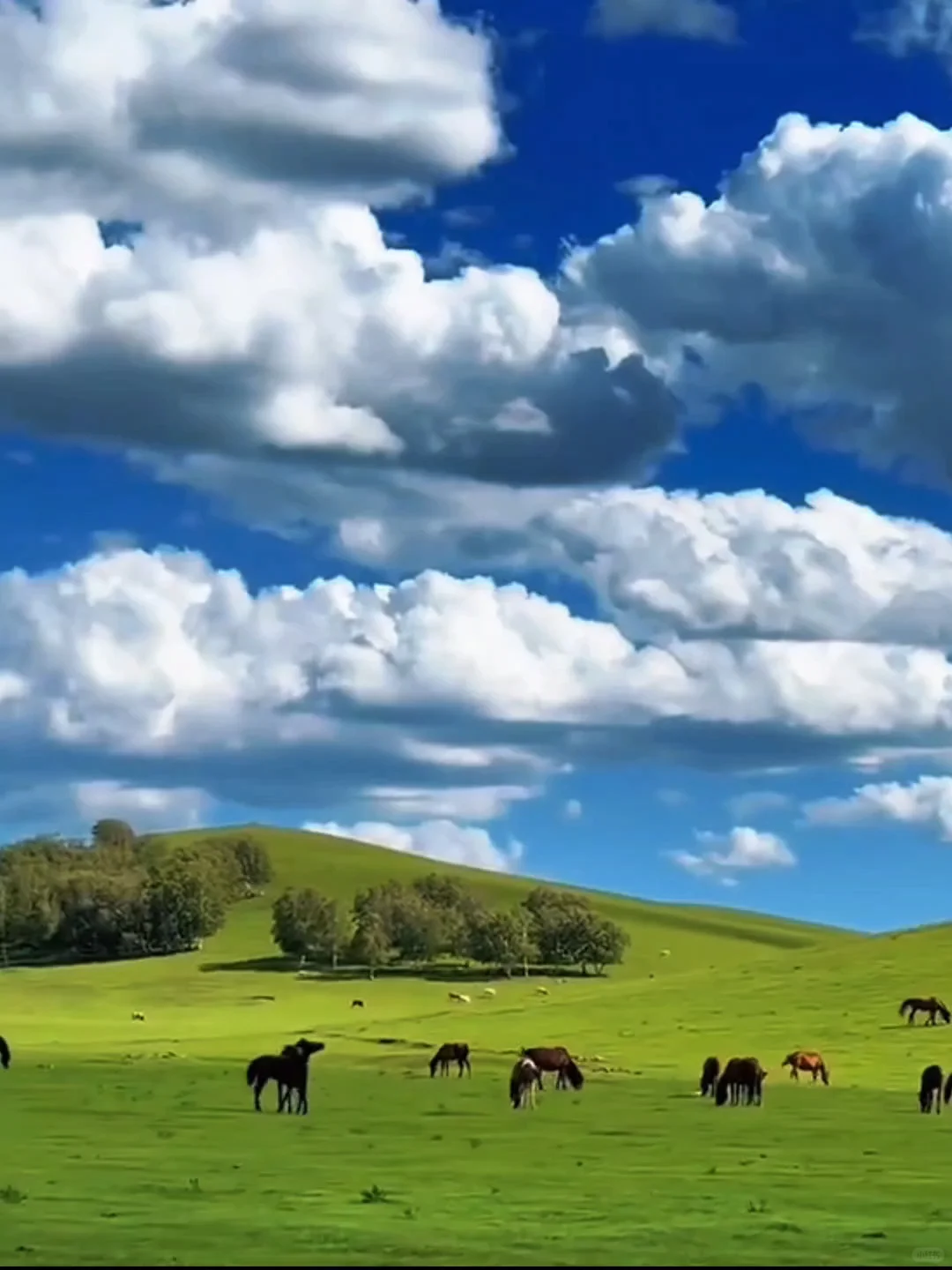 在小红书上跟风成功的一次 隐藏的宝藏城市