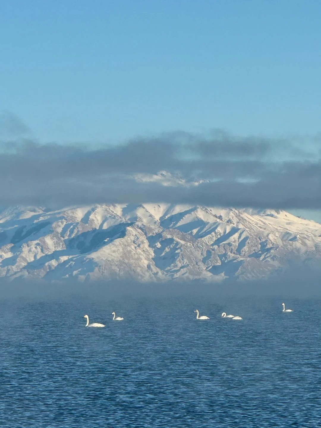 4.18📍赛里木湖live，豪赌成功，劝退不了一点
