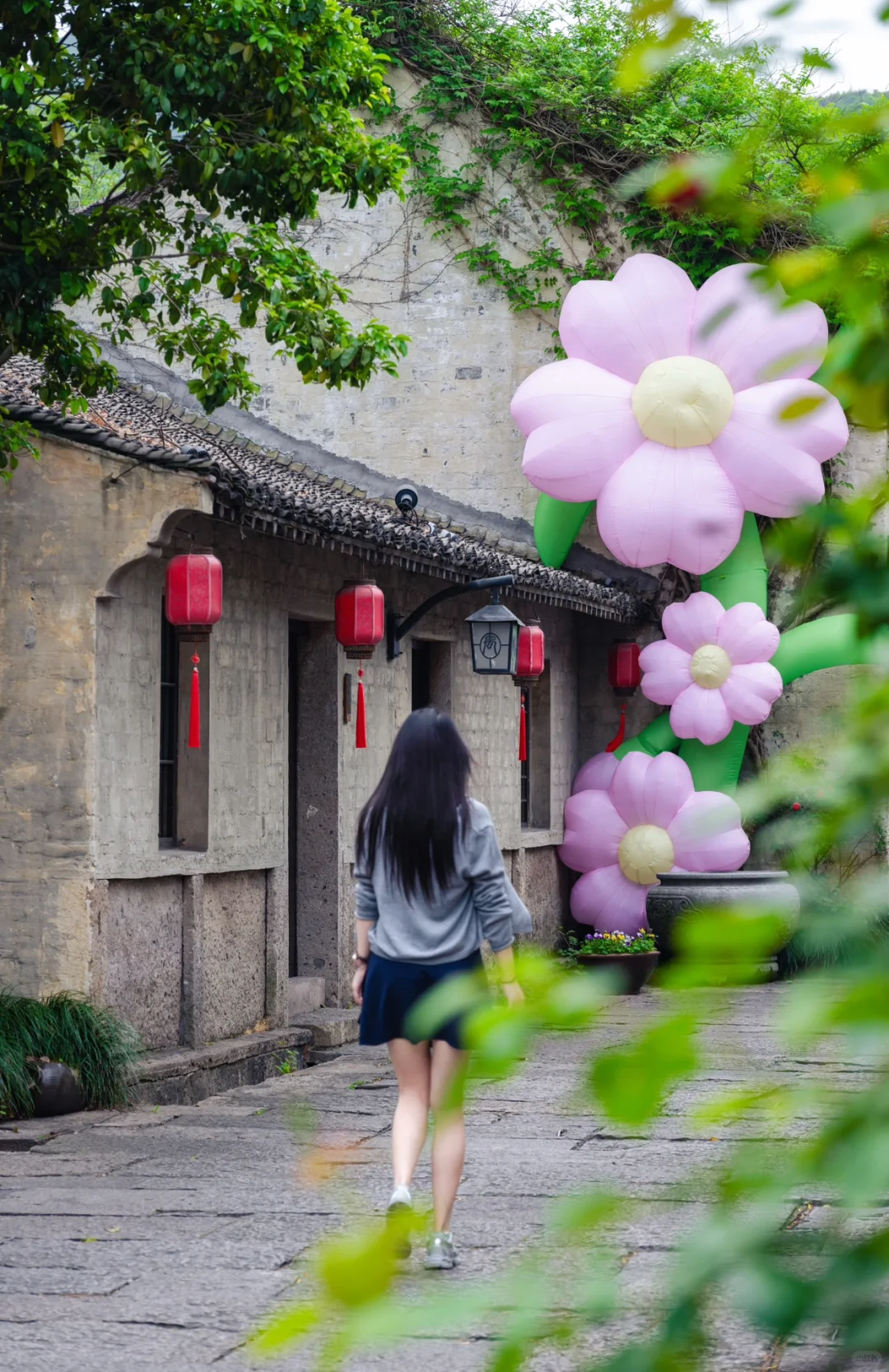 实拍，绍兴这个4000年古村，蔷薇花墙已上线