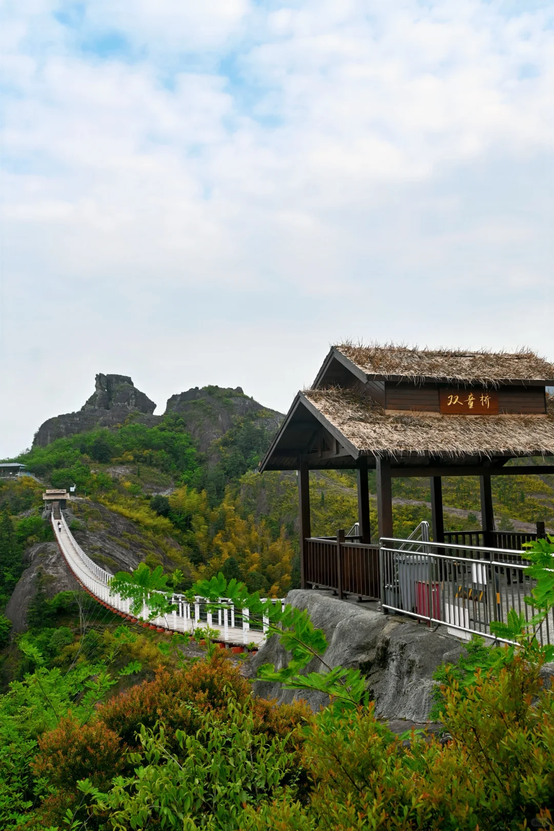 双童山懒人&暴走全攻略！玻璃桥+魔毯登顶‼️