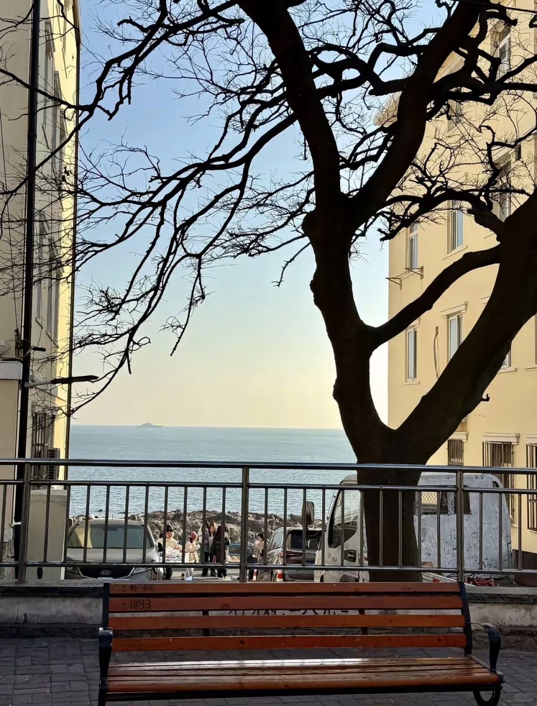 青岛3天2夜绝美玩法，红瓦绿树，碧海蓝天！