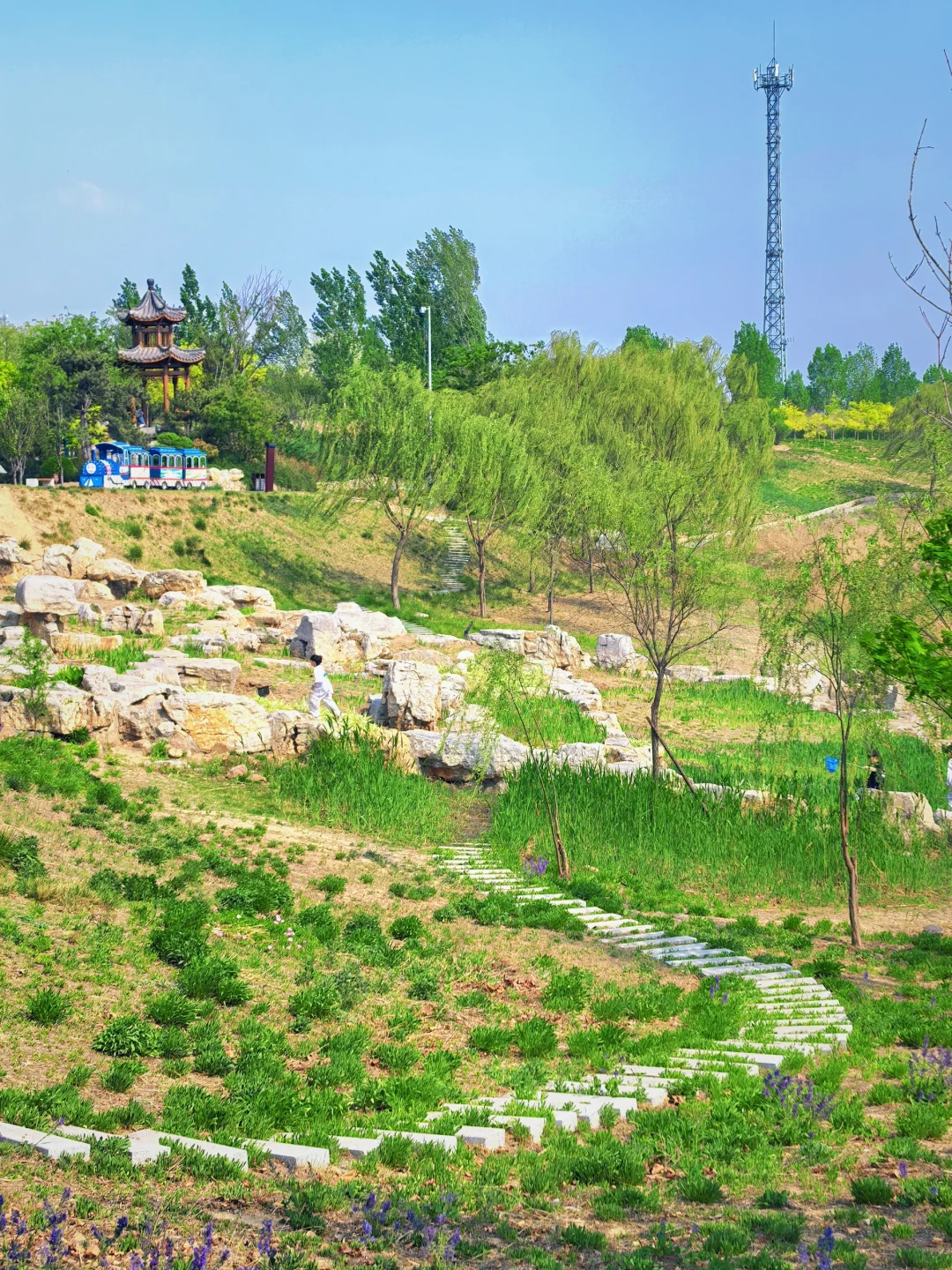 邯郸！发小带我来的小众公园，人少景超美
