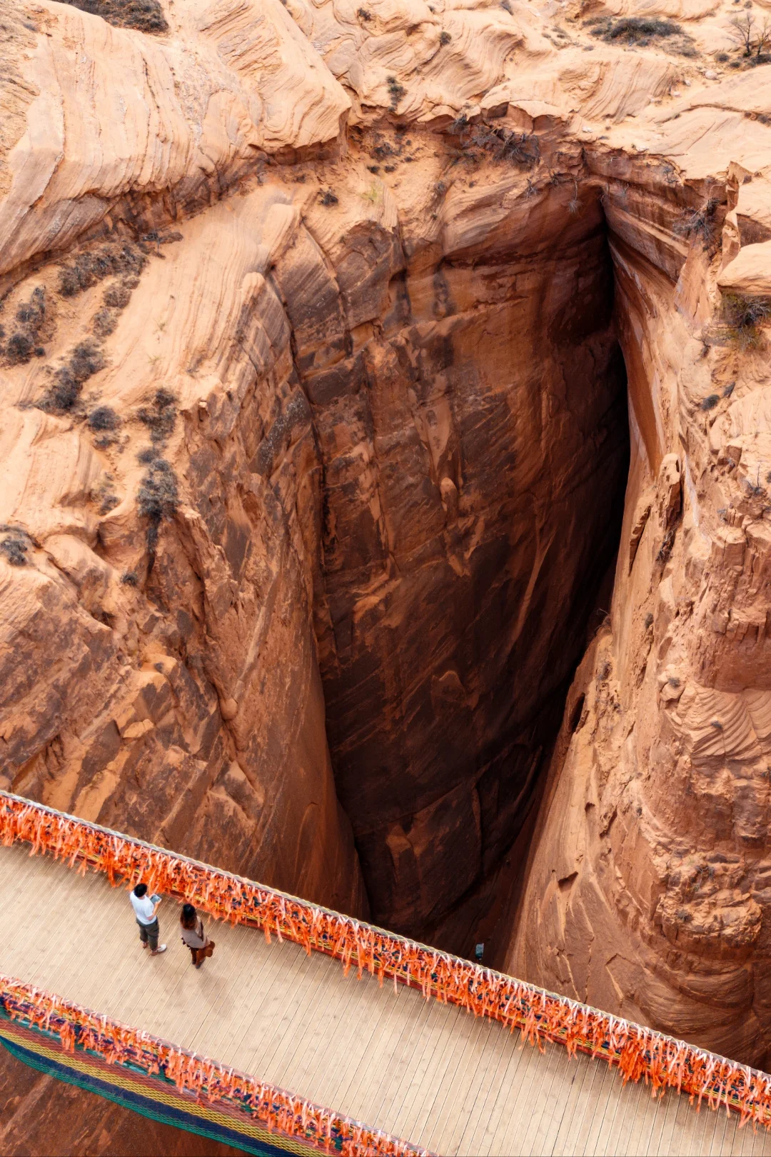 真的没有在美国，被眼前的一幕震撼到了...