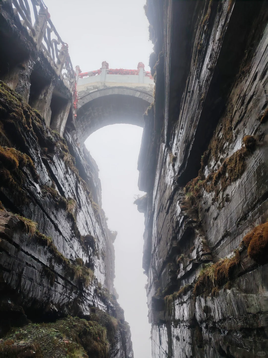 梵净山雨天攻略 遗憾与美景