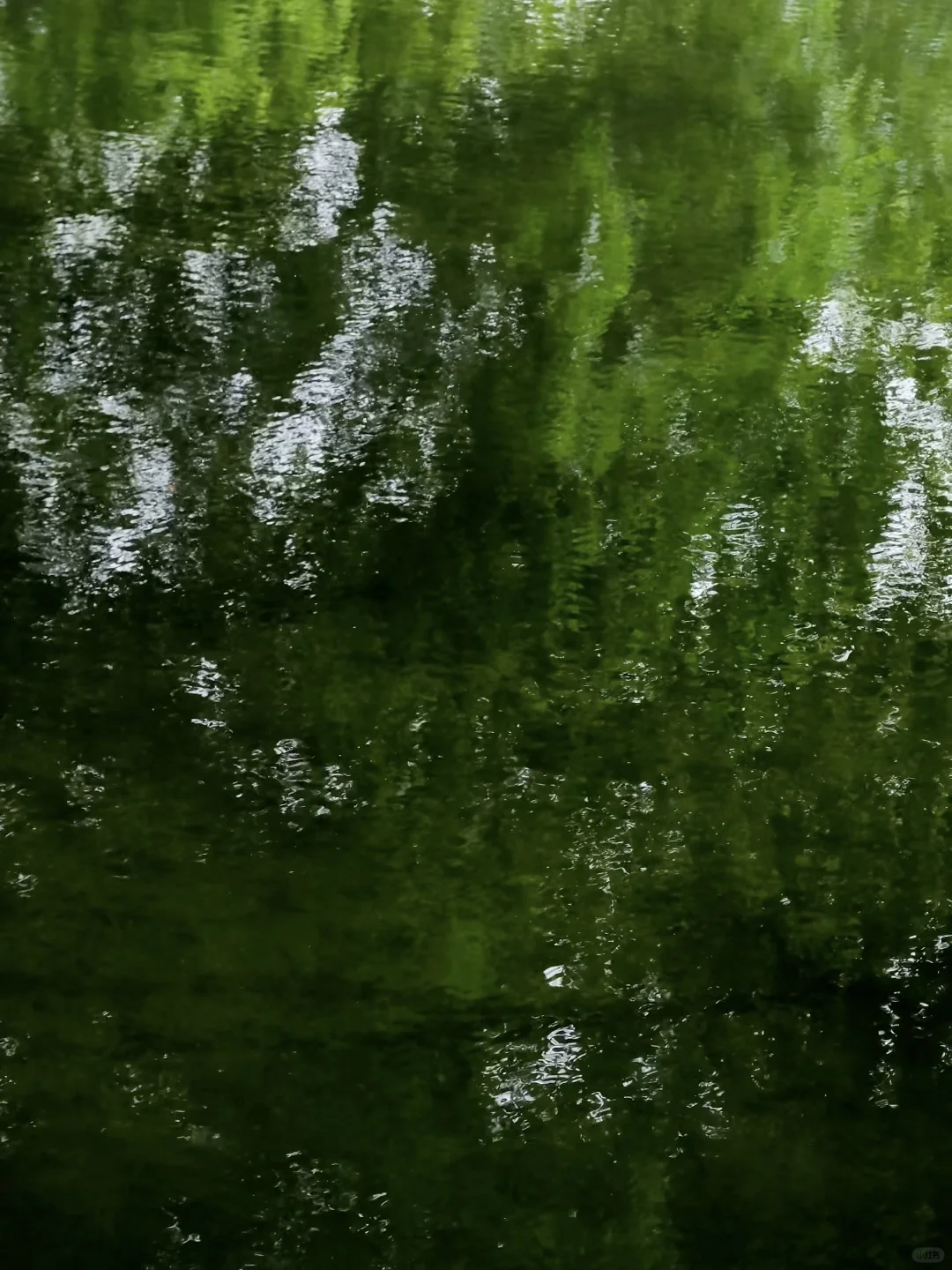 交换春天｜在成都找到了现实版的“言叶之庭”