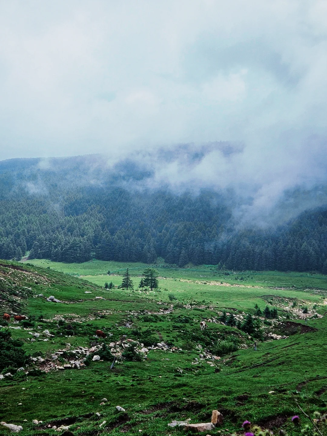 接下来的山西，一定会刷新你的想象…（合集版）