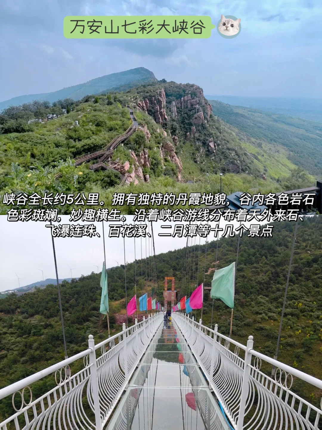 想去洛阳玩又担心人太多？这几个景区适合你