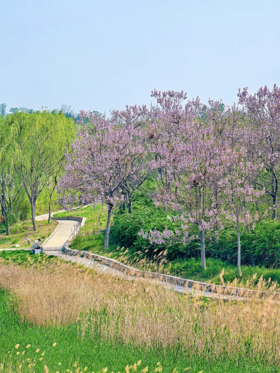 邯郸！发小带我来的小众公园，人少景超美