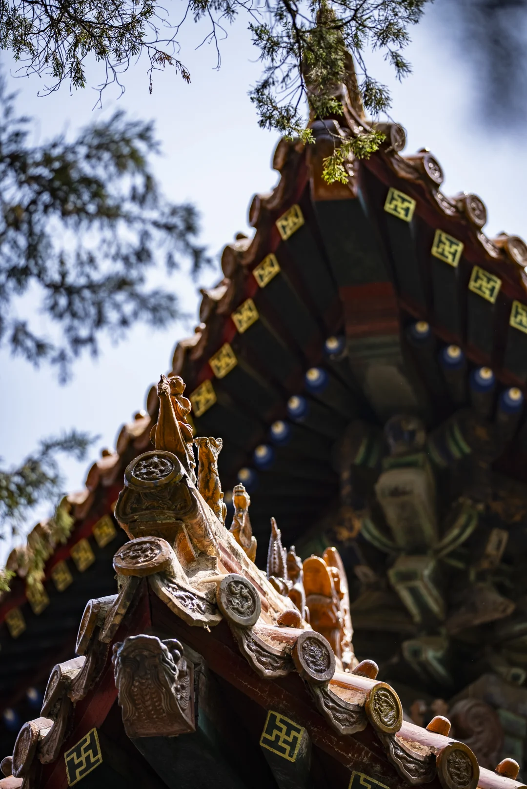 去景区加班之又来拍孔庙了