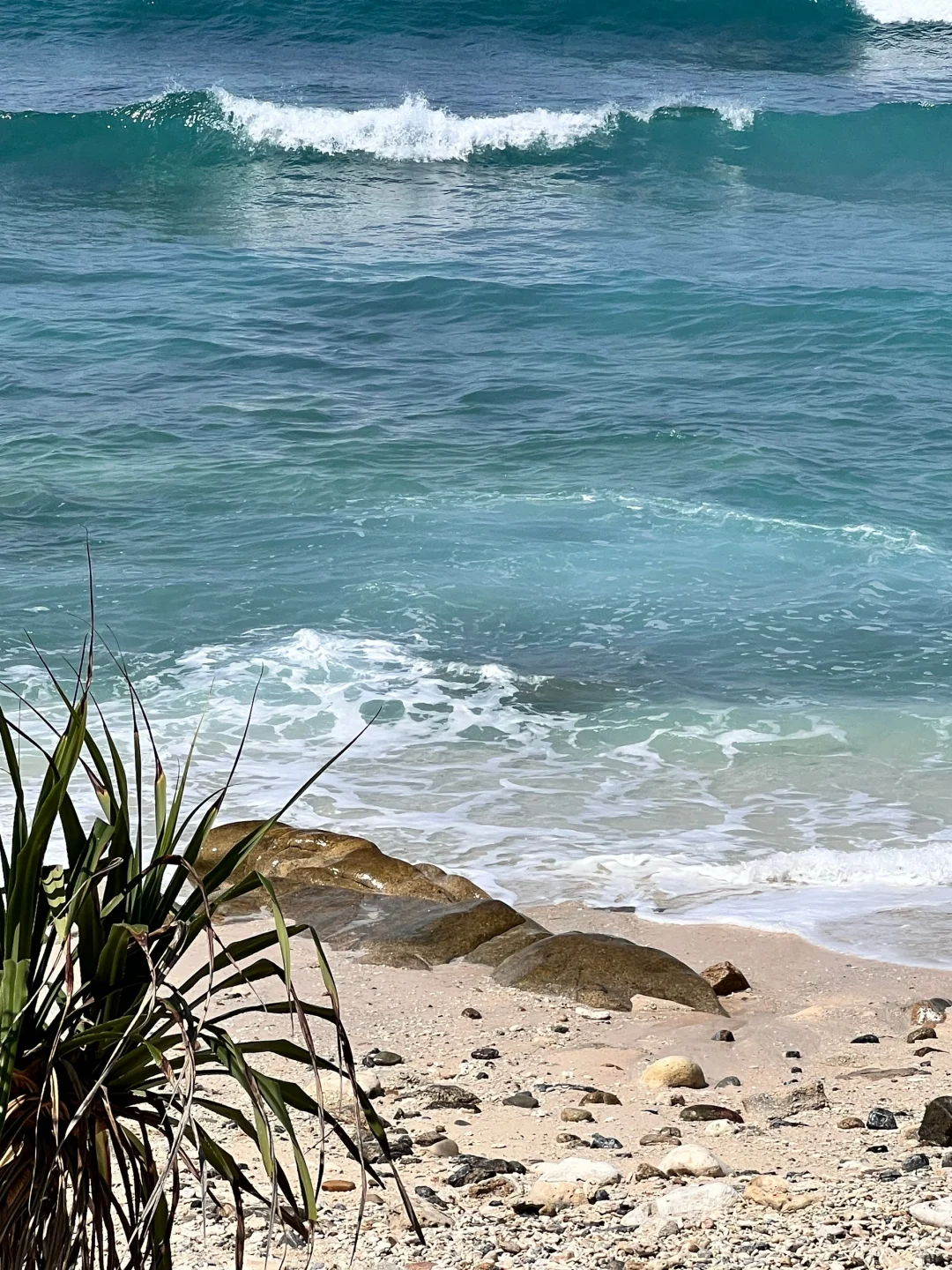 三亚真的会惩罚每个不提前预约的人…😭