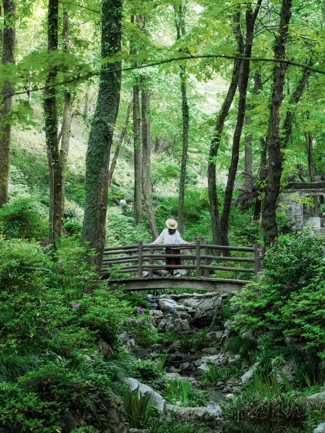高铁直达，我找到了避世小镇里的江南春色🍃