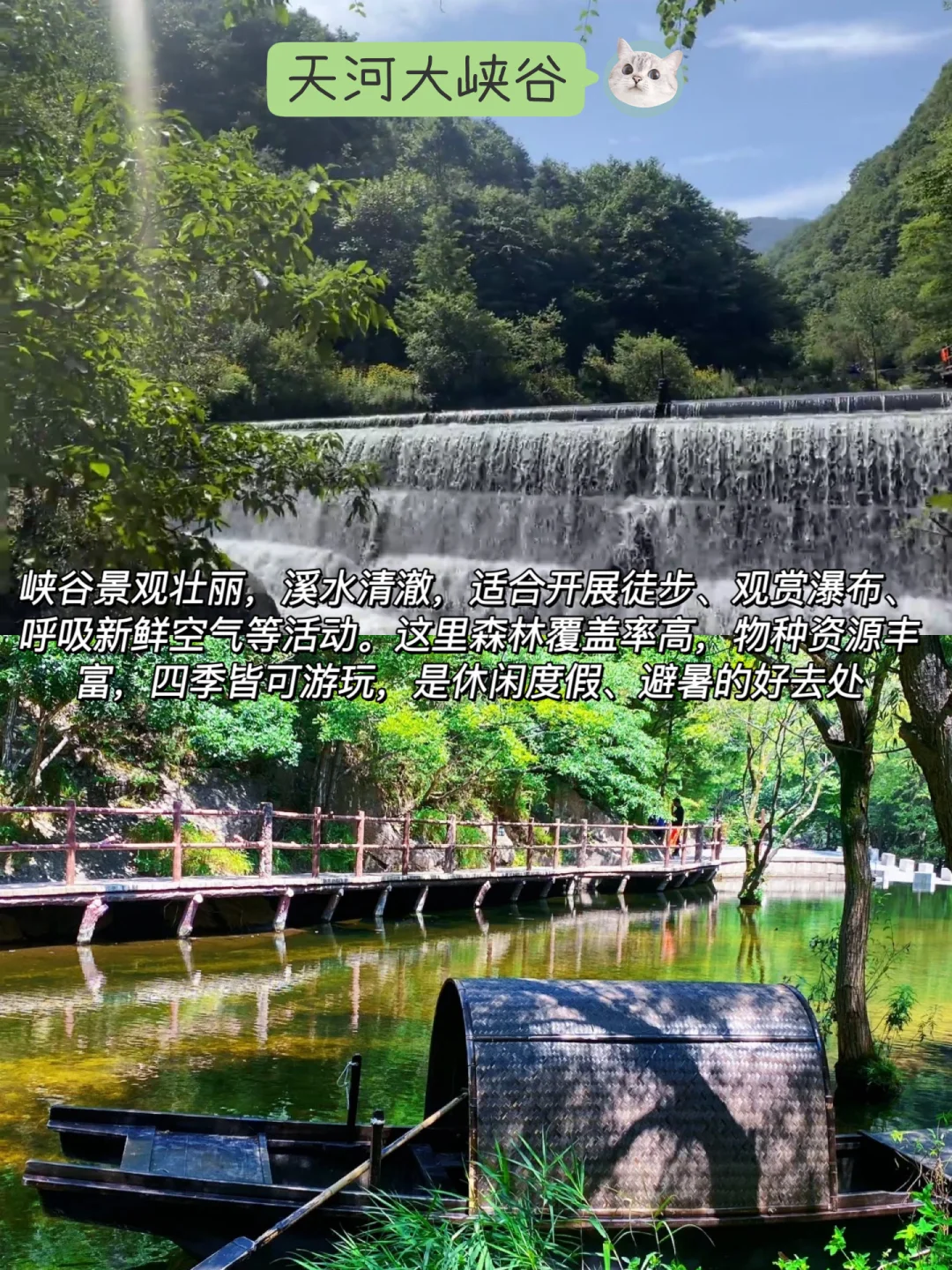 想去洛阳玩又担心人太多？这几个景区适合你