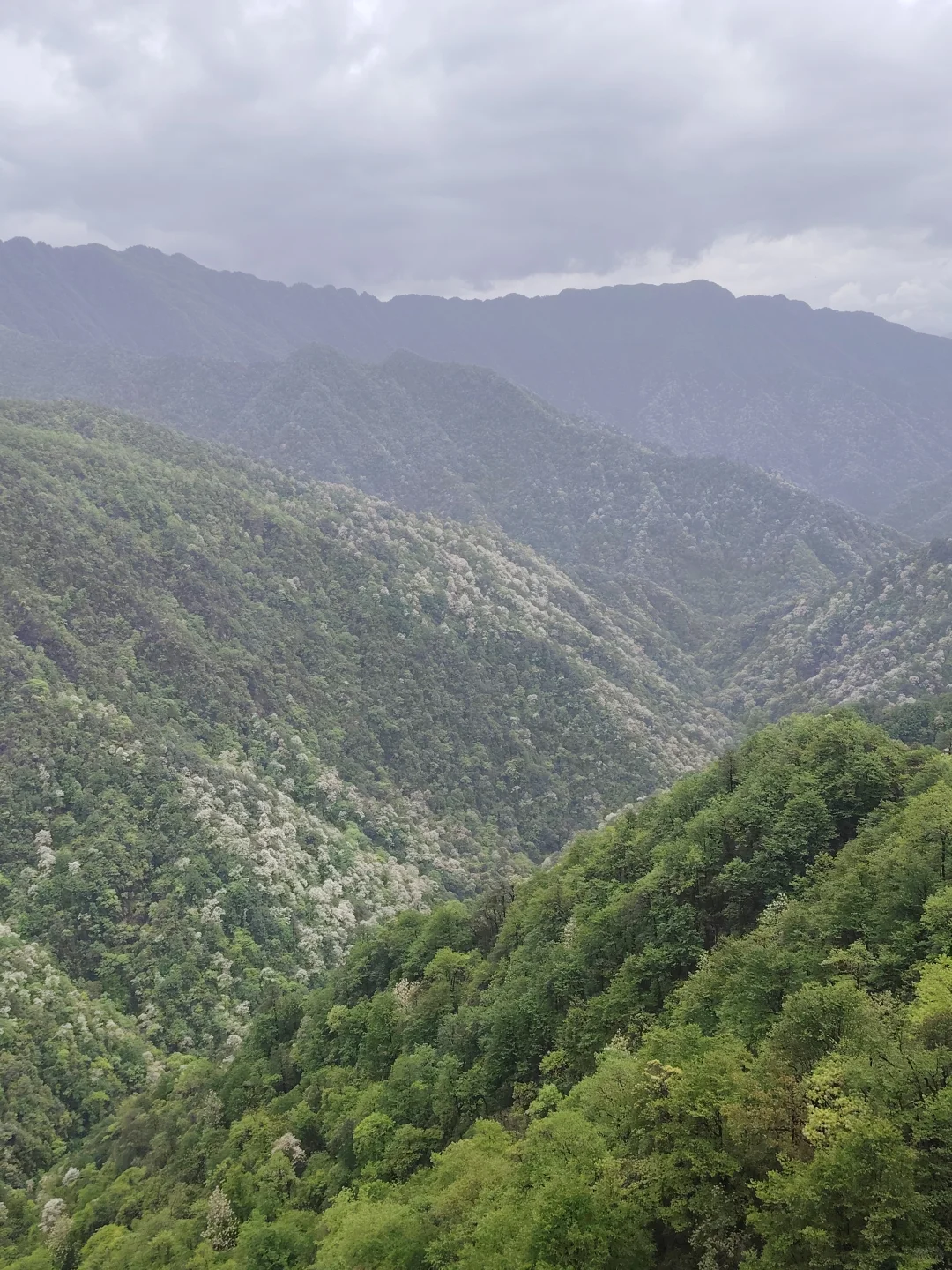梵净山雨天攻略 遗憾与美景