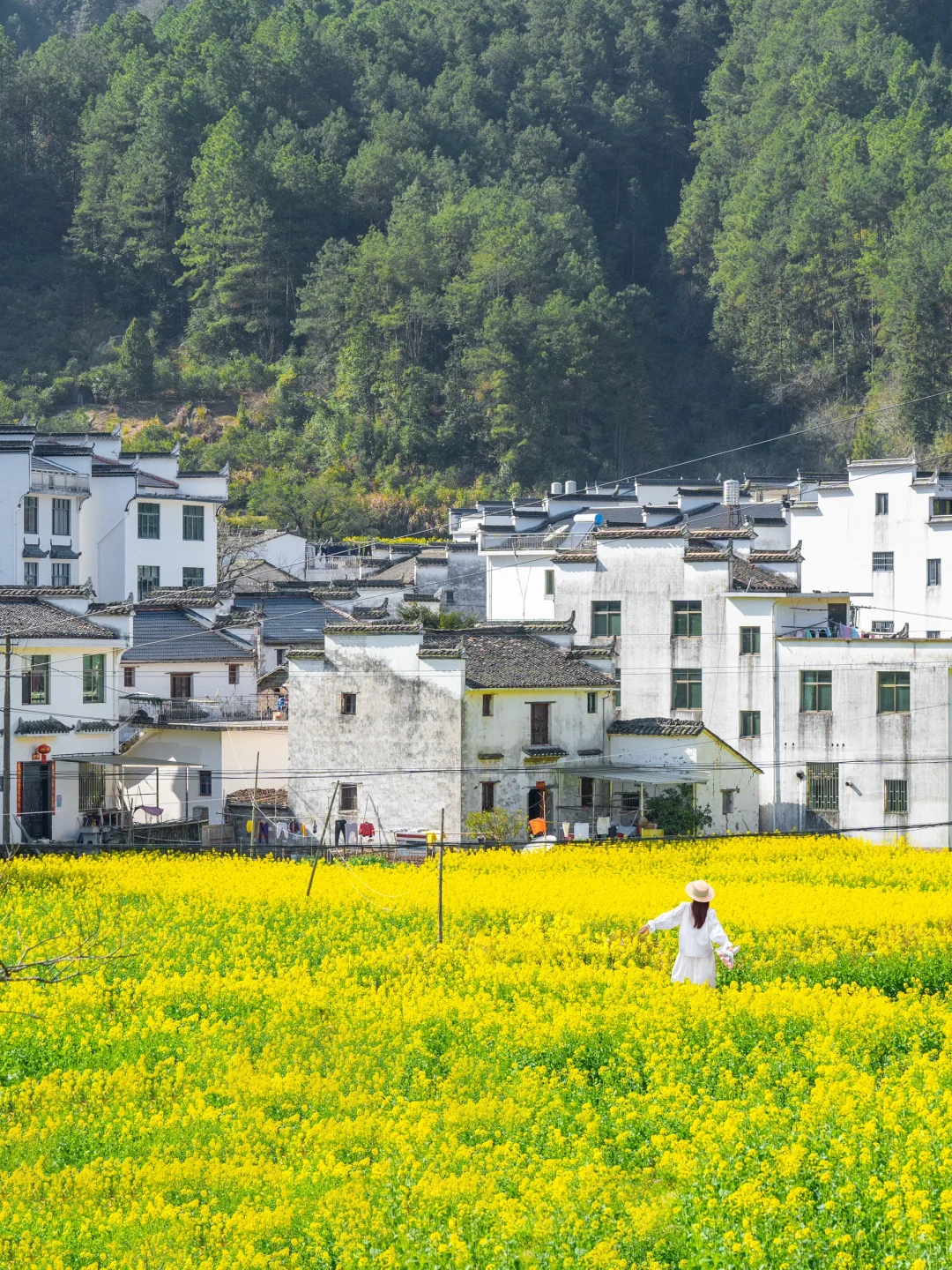 美哭了😭不愧是《国家地理》推荐的春日小城