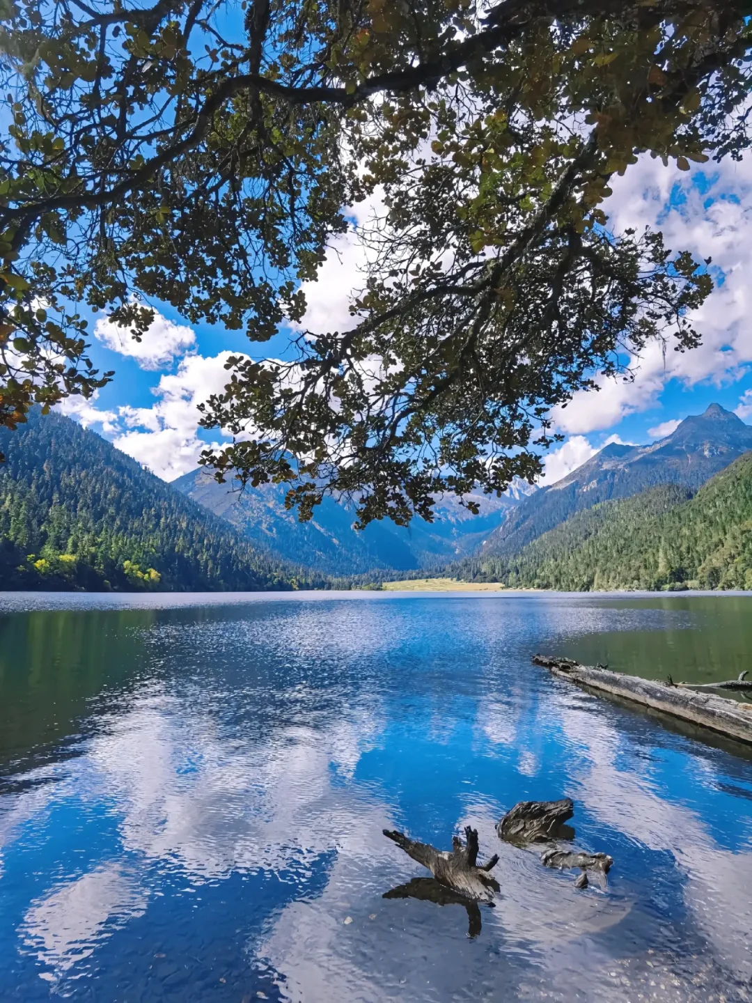 本以为姑弄村够美了！直到我去到了这里……