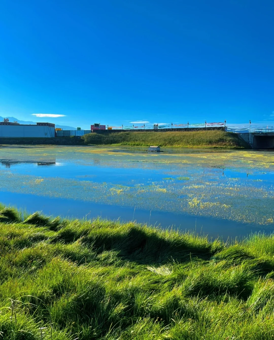 青海玩 🔥2 天 600💰 💦