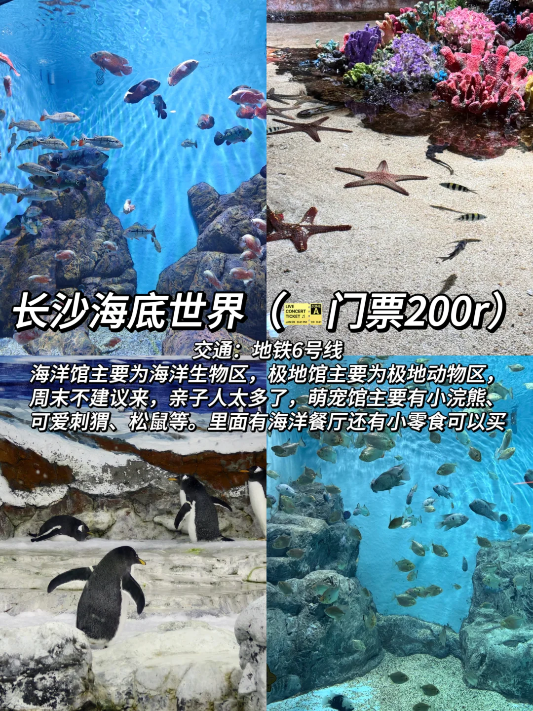 强烈推荐❗❗长沙旅游必打卡的9⃣个景点