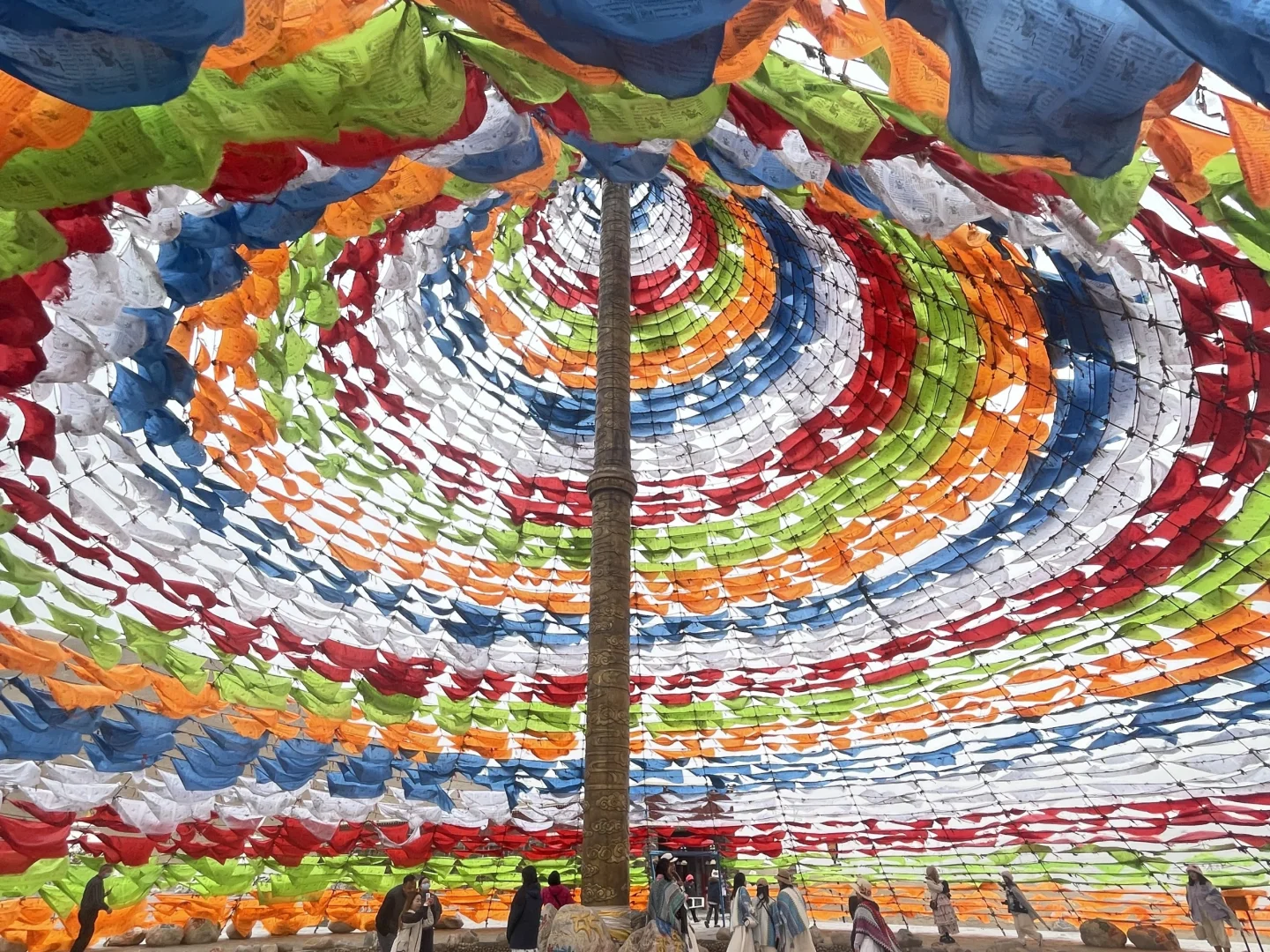 我们的青甘大环线完美落幕～