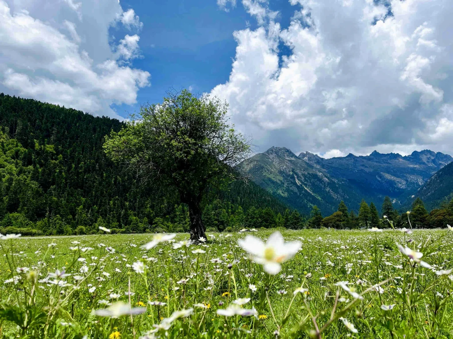 本以为姑弄村够美了！直到我去到了这里……