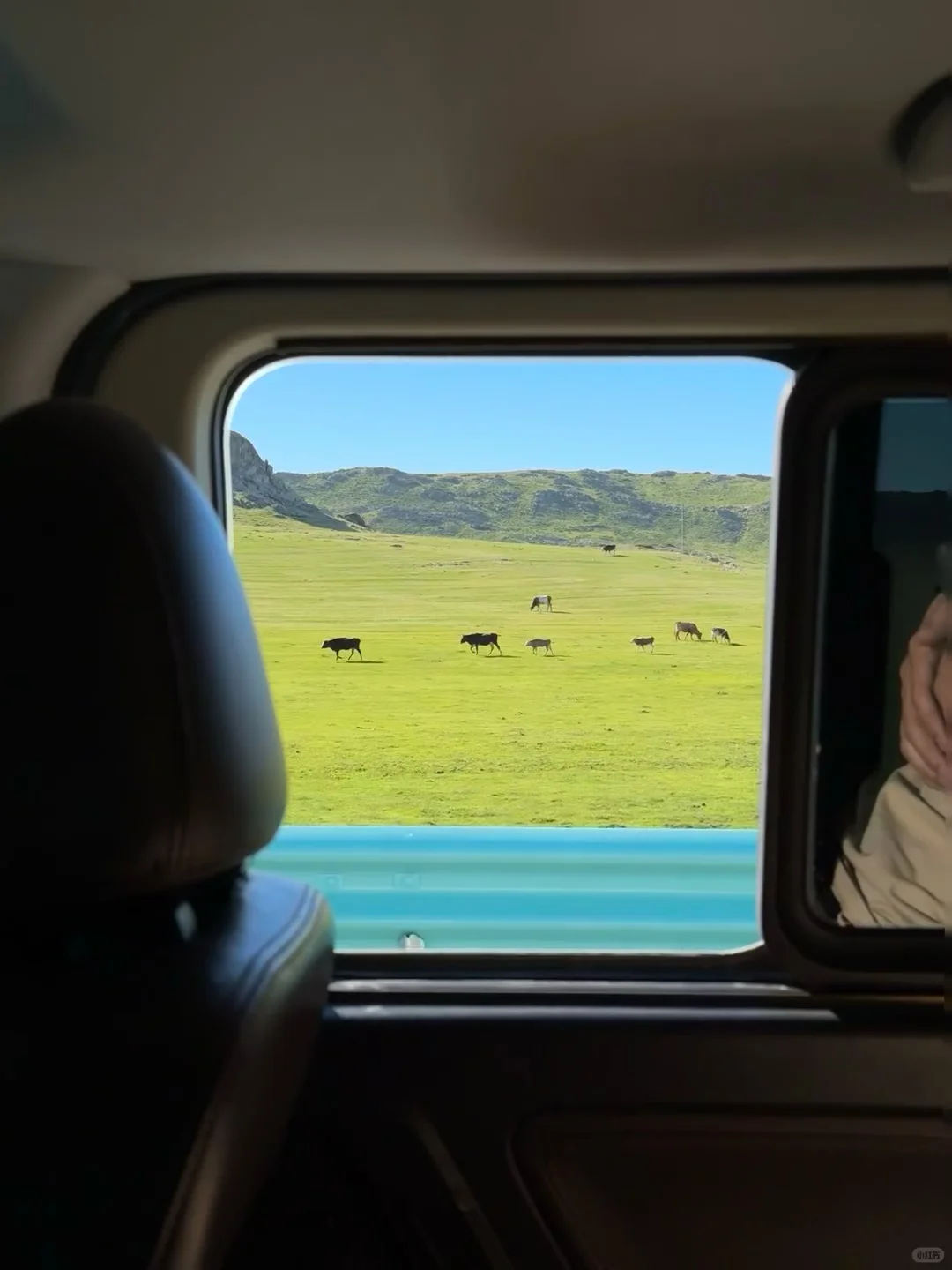 淡季的内蒙古真的是人生必去之地。。。