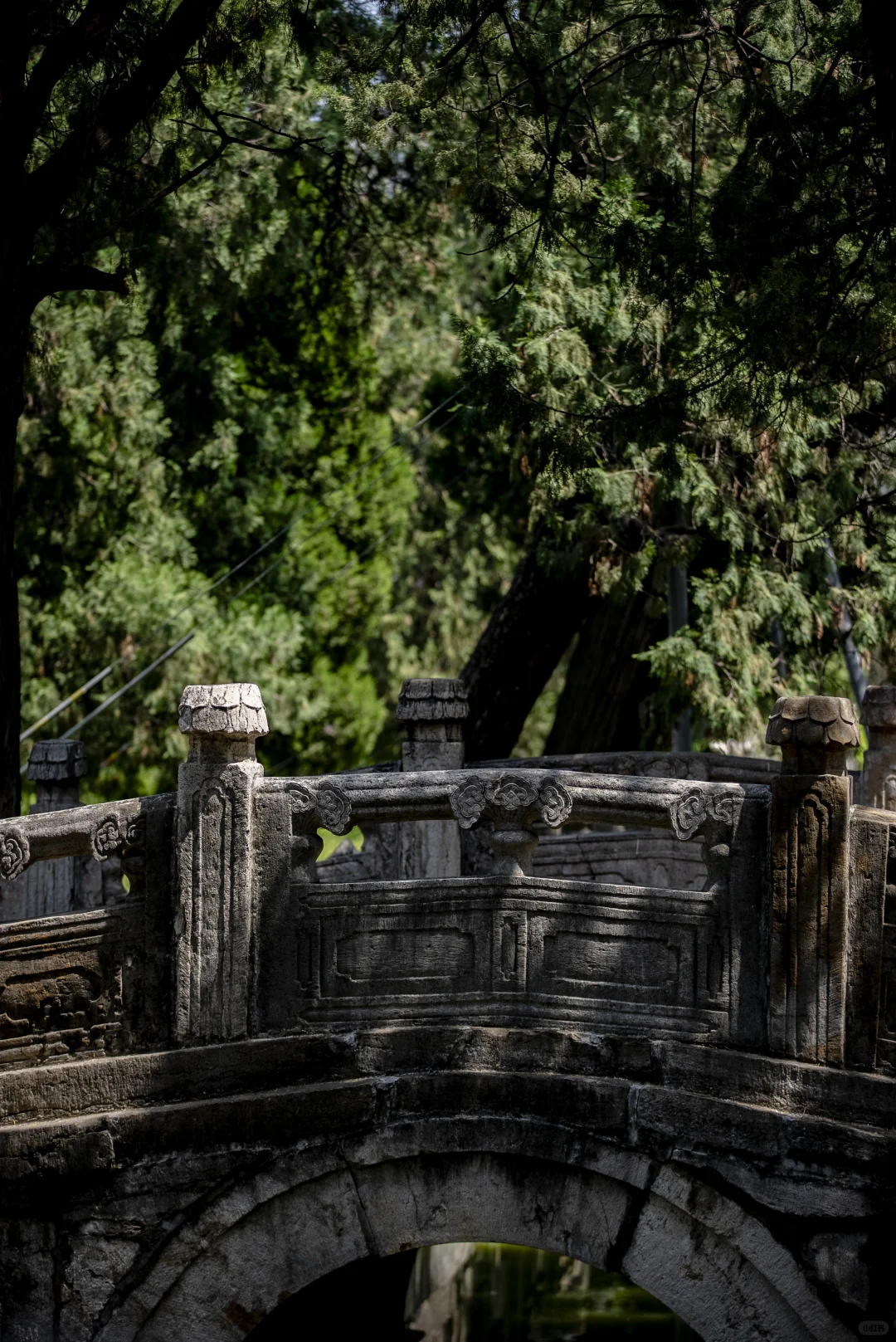 去景区加班之又来拍孔庙了