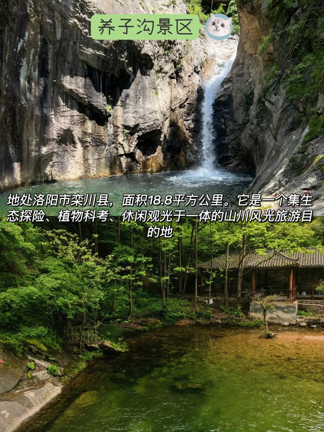 想去洛阳玩又担心人太多？这几个景区适合你