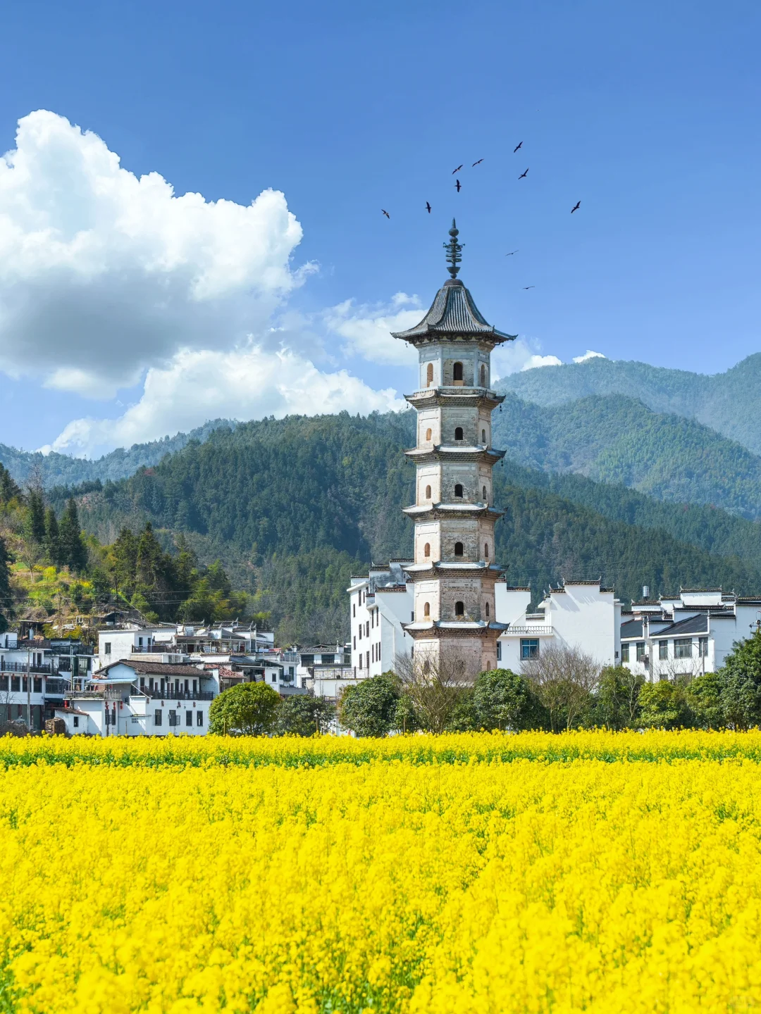 美哭了😭不愧是《国家地理》推荐的春日小城