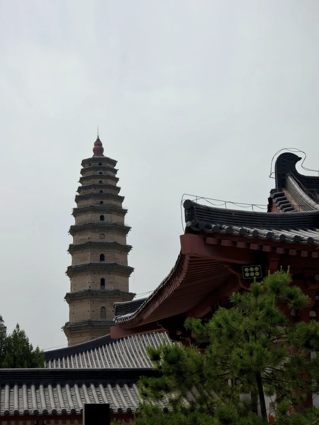 高陵_区博物馆与昭慧塔