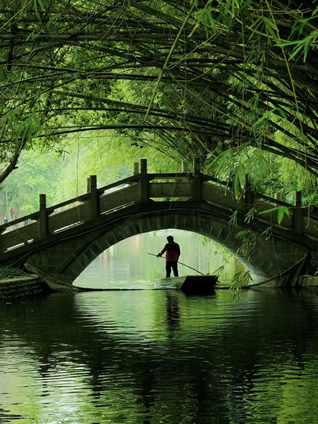 交换春天｜在成都找到了现实版的“言叶之庭”