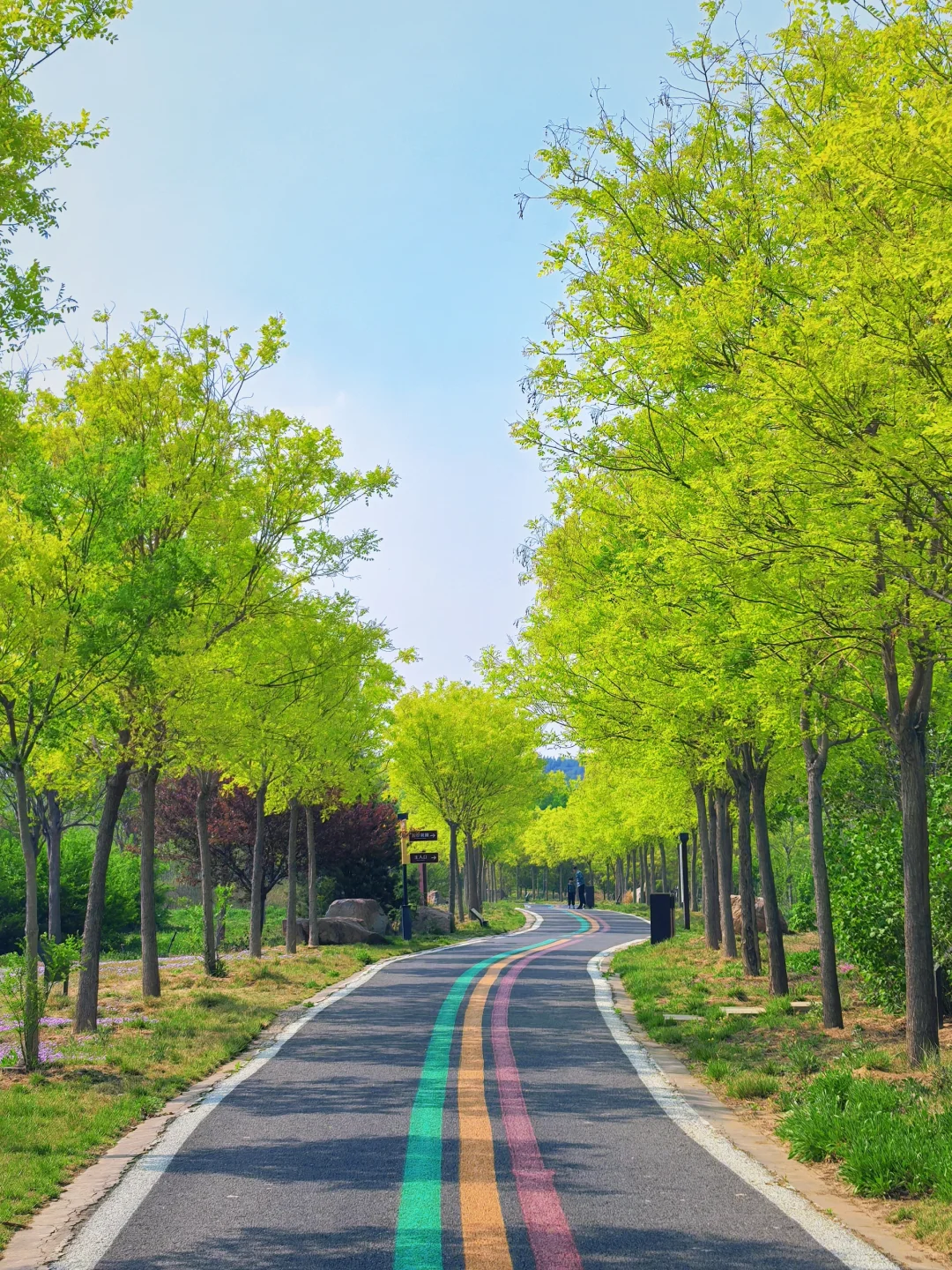 邯郸！发小带我来的小众公园，人少景超美