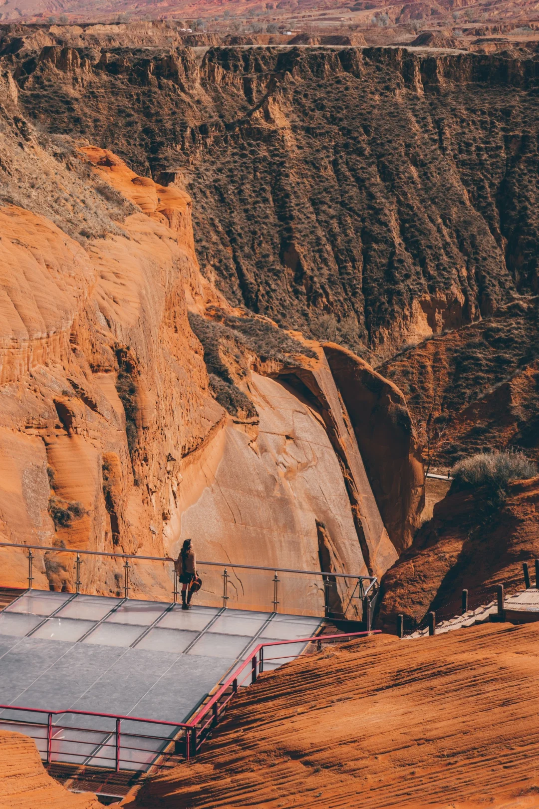 真的没有在美国，被眼前的一幕震撼到了...