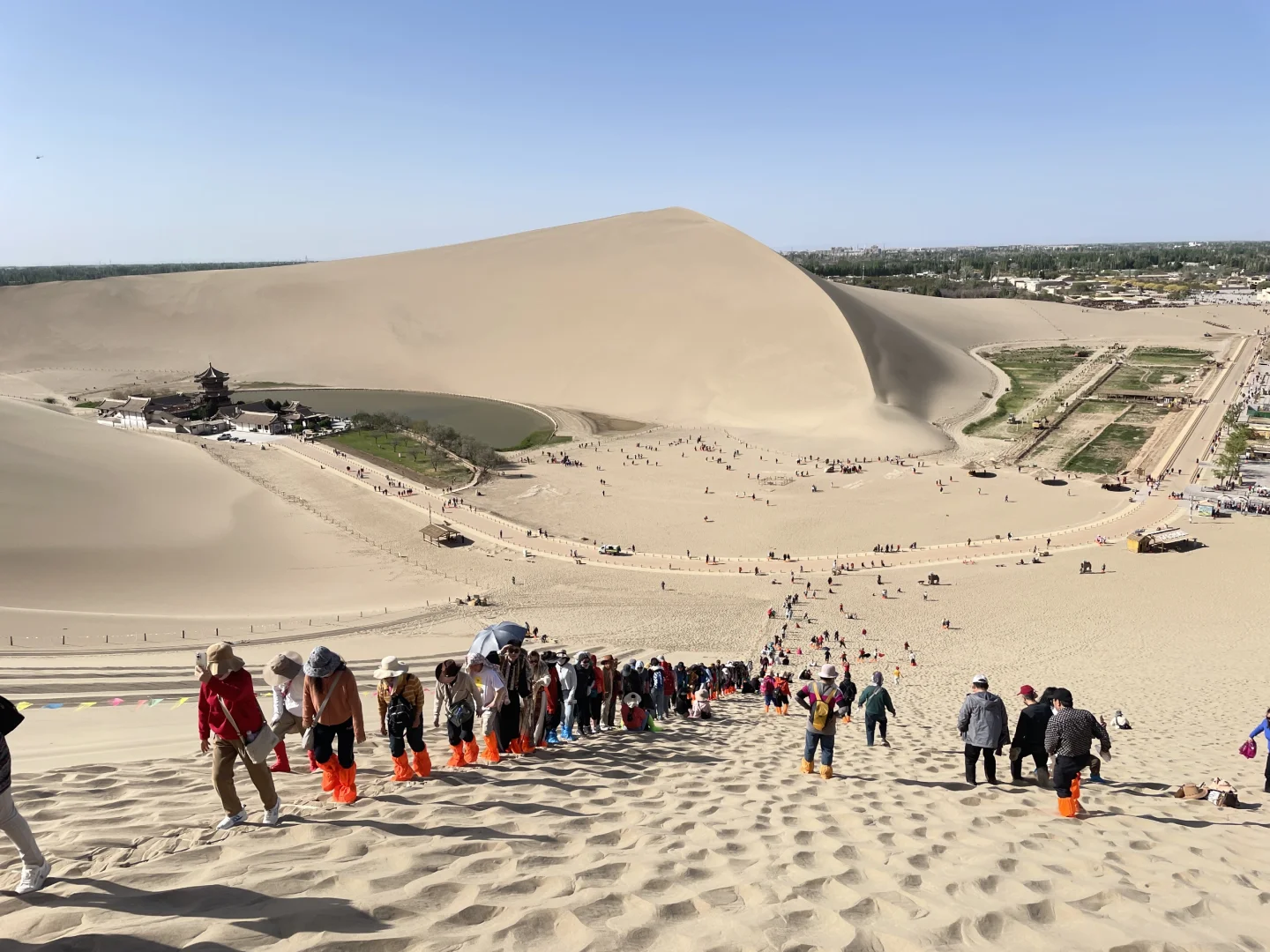 我们的青甘大环线完美落幕～