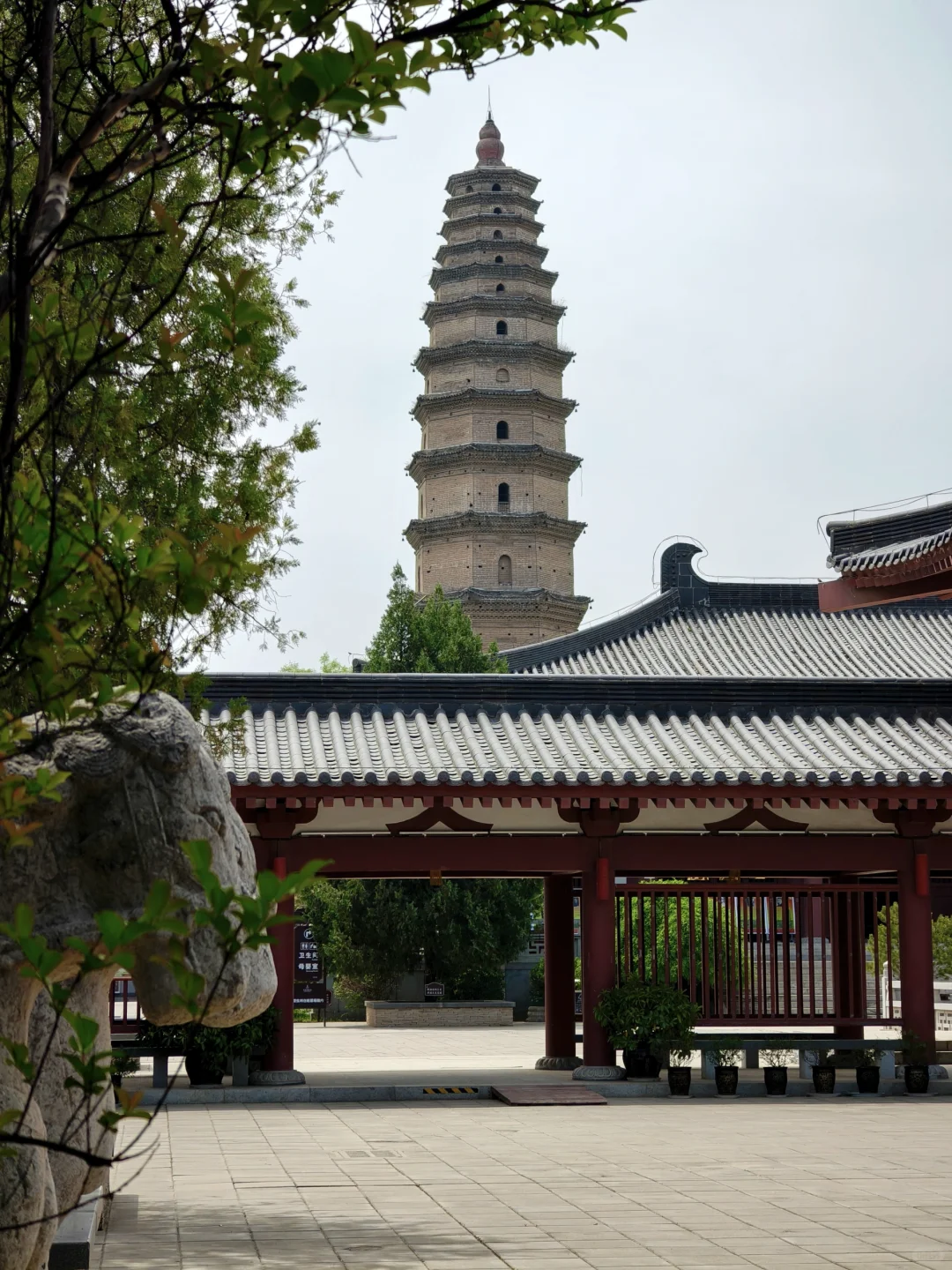 高陵_区博物馆与昭慧塔