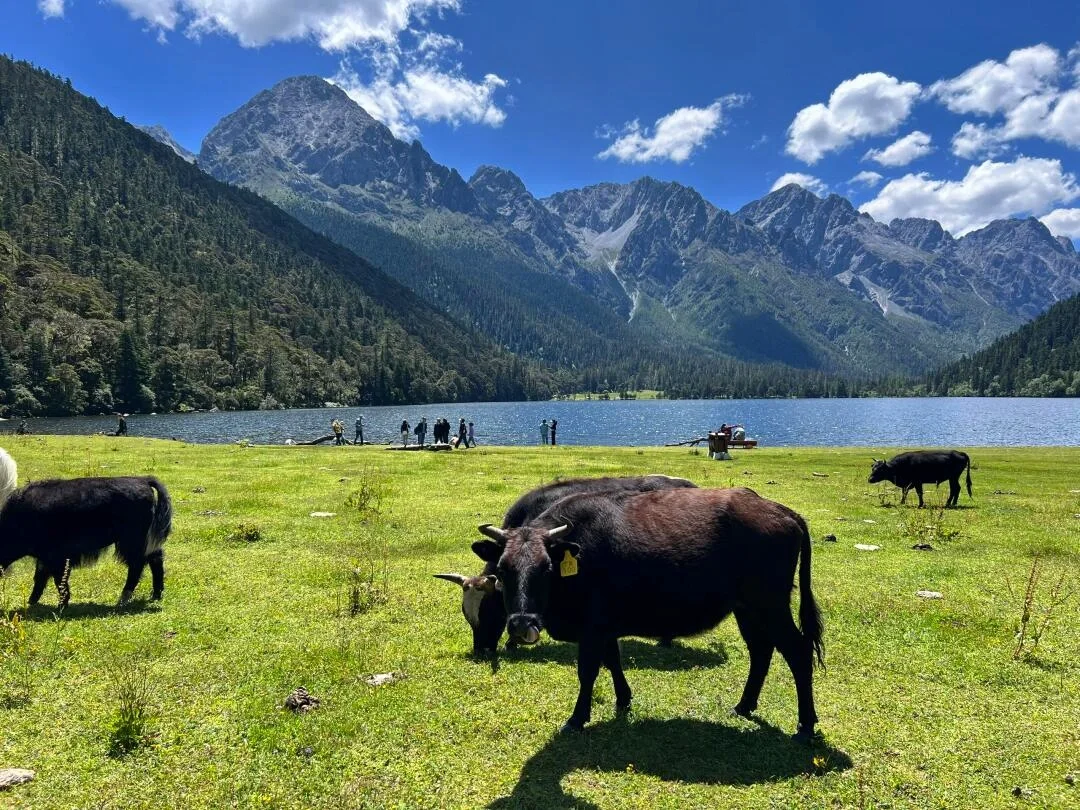 本以为姑弄村够美了！直到我去到了这里……