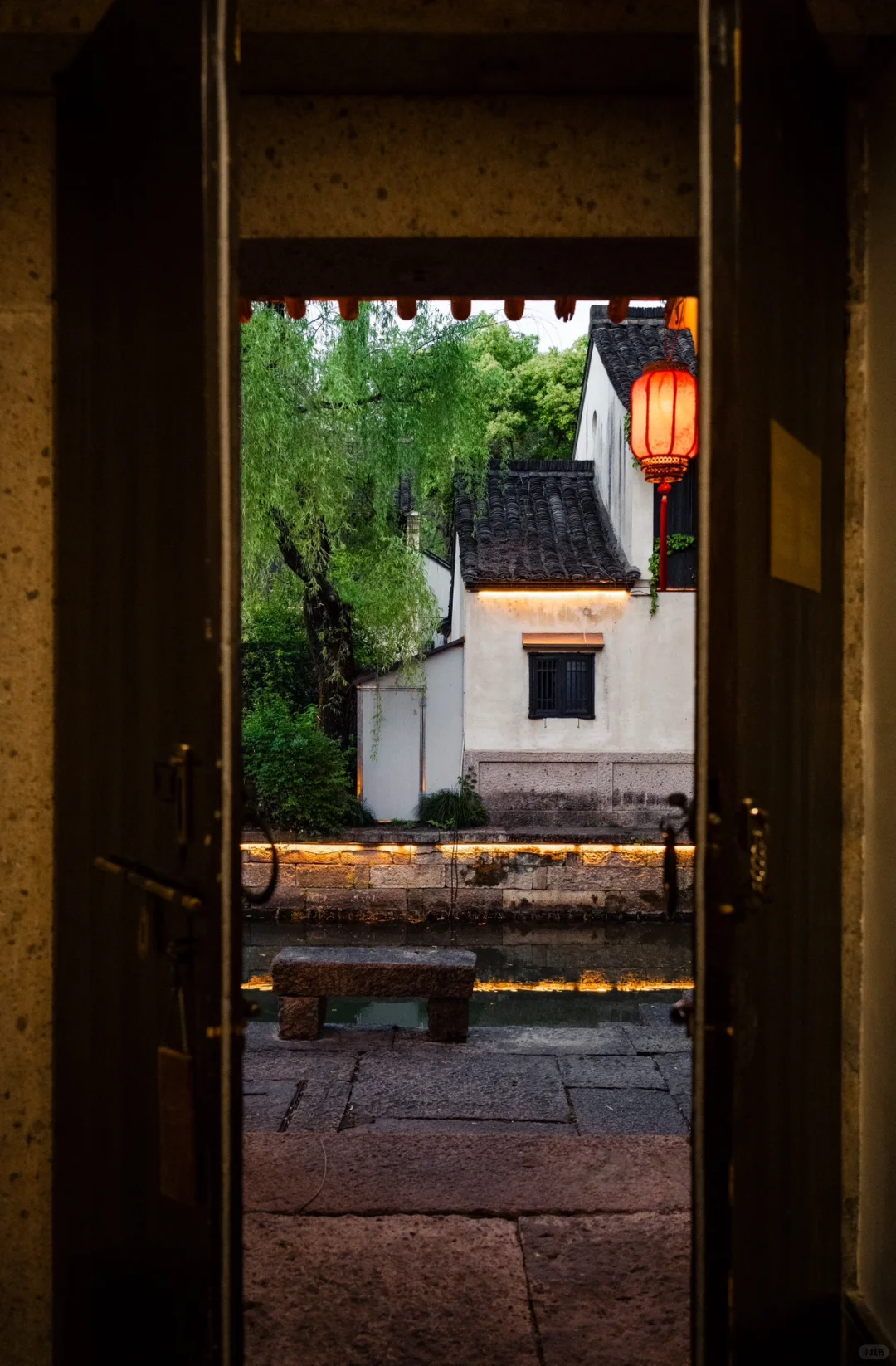 实拍，绍兴这个4000年古村，蔷薇花墙已上线